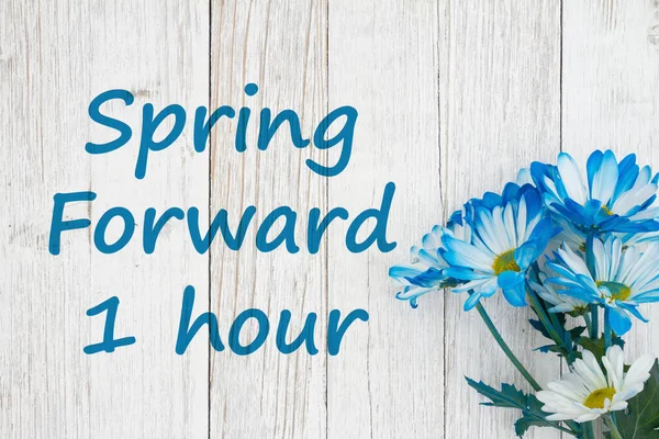 春の楽しみ1時間の日光時間のメッセージは 風化した白木の上に花の青いデイジーの束 — ストック写真