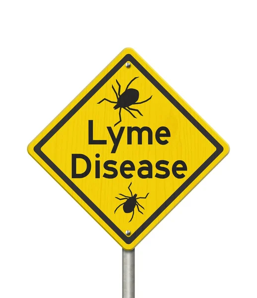 Aviso Doença Lyme Sinal Estrada Cautela Estrada Amarela Isolado Branco Imagens Royalty-Free
