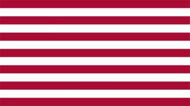 Parçaların birleştirilmesinde Amerikan bayrağının animasyonu