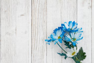 Boş mavi papatyalar. Yıpranmış bir arka planda bir demet çiçek. İlkbahar mesajınız için fotokopi alanı ile birlikte.