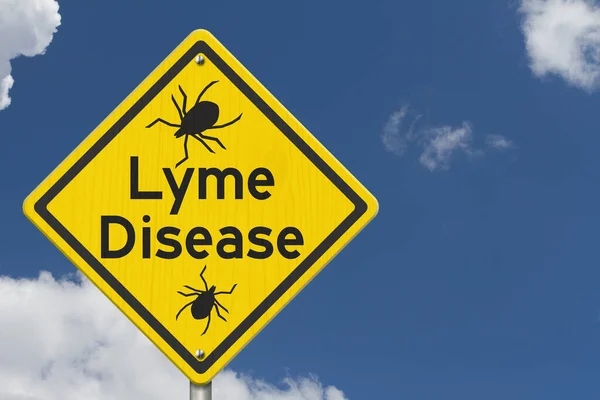 Lyme Disease Warning Yellow Highway Caution Road Sign Blue Clear — Stock Photo, Image