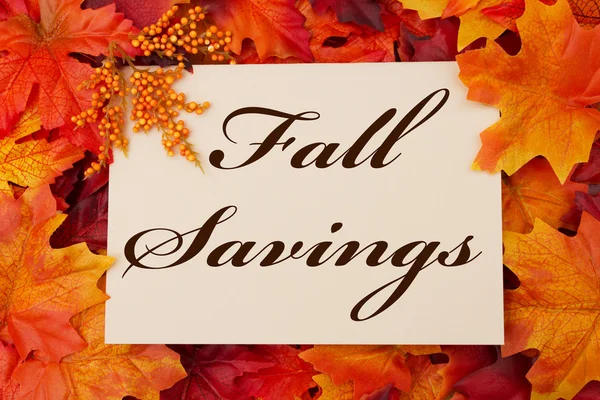 Fall Savings — Stock Photo, Image