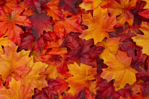 Autumn Leaves Background Stock Photo