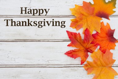 Şükran gününüz kutlu olsun