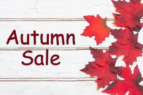 Autumn Sale Card — Stock Photo, Image