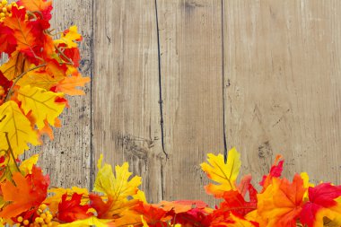 sonbahar yaprakları arka plan