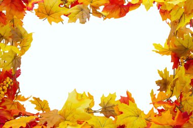 sonbahar yaprakları arka plan