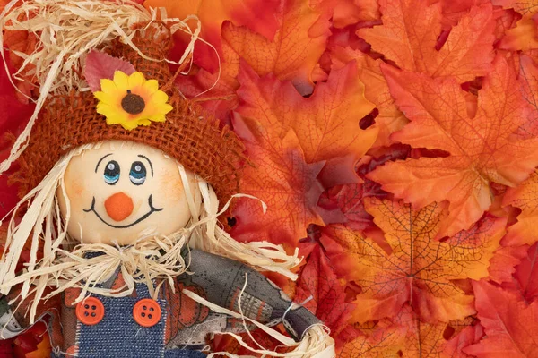 Canlı sonbahar yapraklarının yanında saman saçlı ve ayçiçeği şapkalı sevimli korkuluk bebeği, sonbahar dekorunu, hasat temaları ve mevsimlik kutlamaları sembolize ediyor.