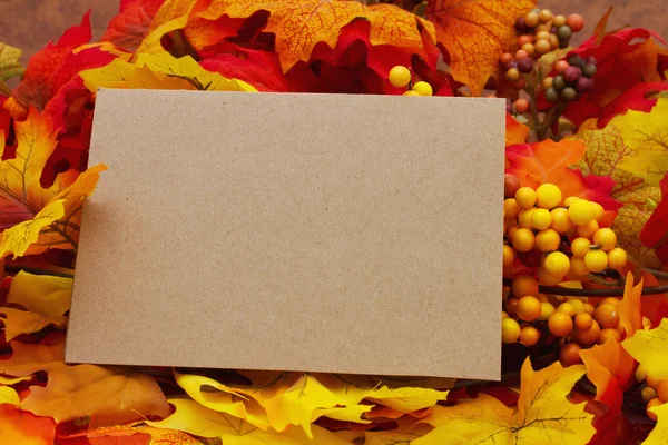 Blank Autumn Card — Stock Fotó