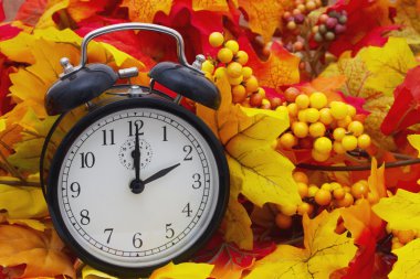 Autumn Time Change clipart