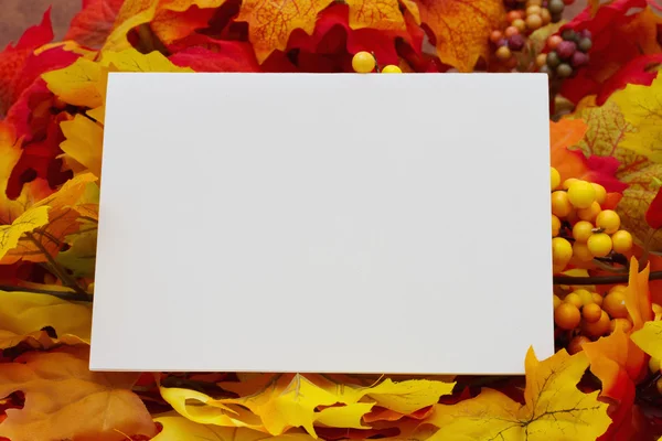 Cartão de outono em branco — Fotografia de Stock