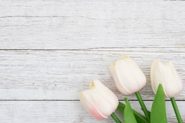 Hafif kırsal ahşap zemin üzerinde uzanan yumuşak beyaz laleler, tebrik kartları, tatiller ve mevsimlik tasarımlar için ideal minimum bahar kompozisyonu.