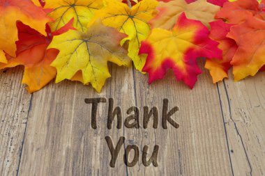 Teşekkürler mesaj.