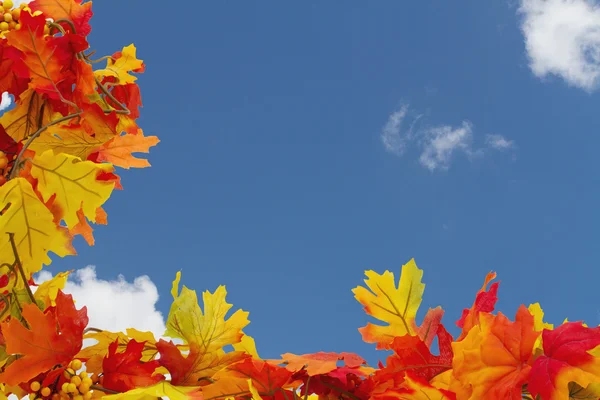 Autumn Leaves Background — Stock Photo, Image