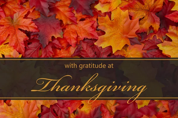Happy Thanksgiving hälsning — Stockfoto