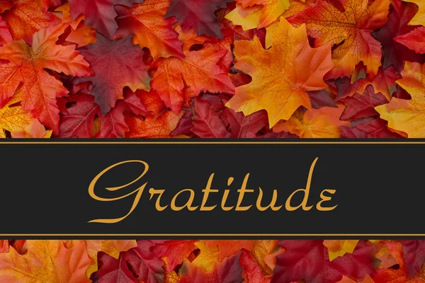 Vděčnost poselství pro podzim — Stock fotografie