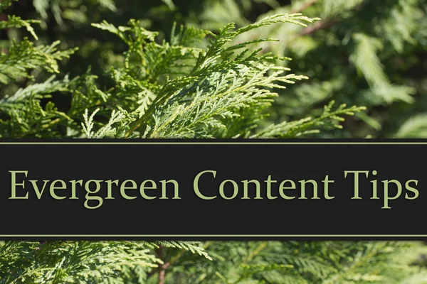 Consejos de contenido Evergreen —  Fotos de Stock