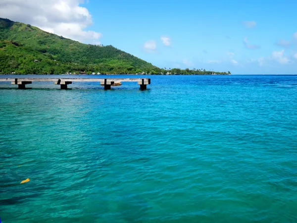 Vista Dal Molo Paopao Nella Baia Cook Moorea Polinesia Francese — Foto Stock