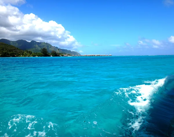 モーレア島、フランス領ポリネシア — ストック写真