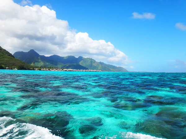 Moorea, Fracouzská Polynésie — Stock fotografie