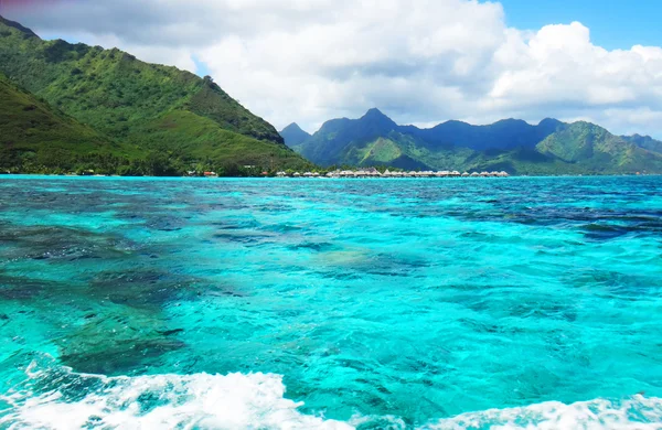 Moorea, Polinésia Francesa — Fotografia de Stock