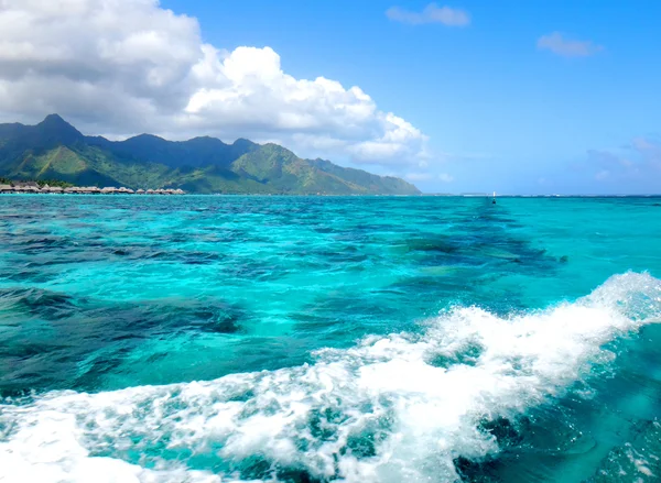 Moorea, Frans Polynesië — Stockfoto