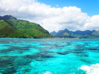 Moorea Lagoon, Fransız Polinezyası görünümünü.