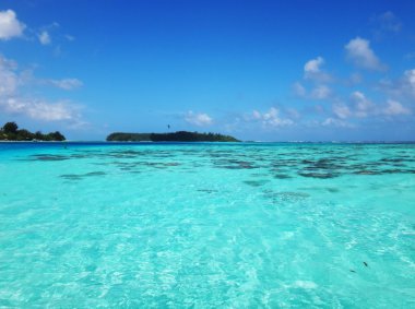 Moorea, Fransız Polinezyası