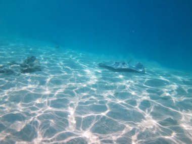 Moorea, Fransız Polinezyası