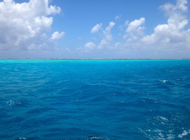 Moorea, Fransız Polinezyası