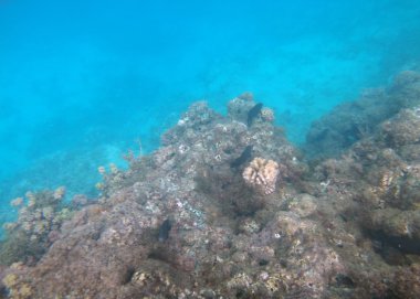 Moorea, Fransız Polinezyası