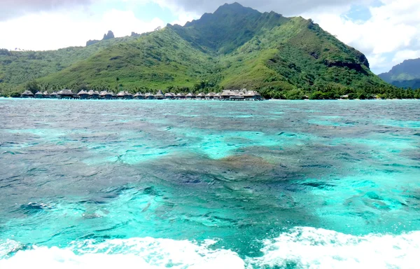 モーレア島、フランス領ポリネシア — ストック写真