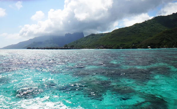 Moorea, Polinésia Francesa — Fotografia de Stock