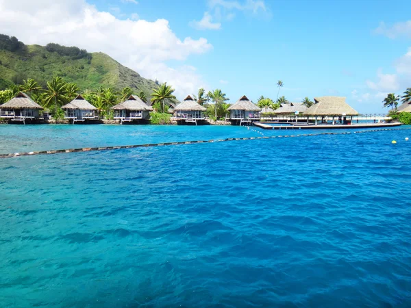 Moorea, Polinésia Francesa — Fotografia de Stock