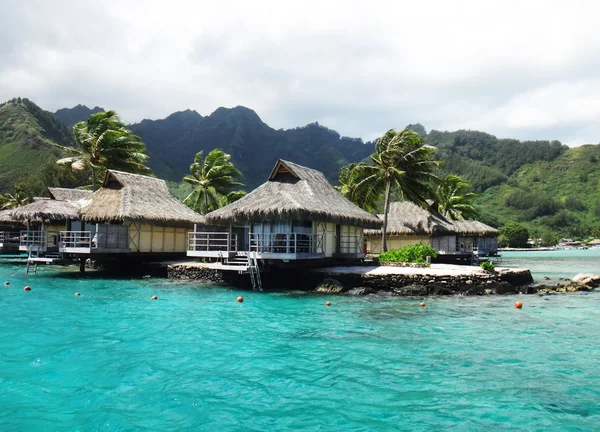 Moorea, Fracouzská Polynésie — Stock fotografie