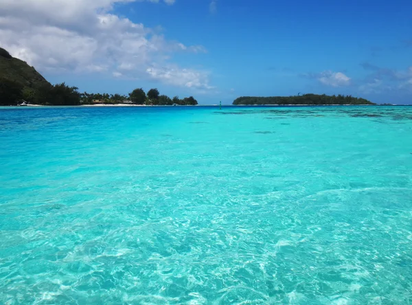 Vista Moorea Desde Laguna Polinesia Francesa —  Fotos de Stock