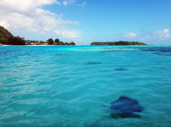 Syn Moorea Från Lagunen Franska Polynesien — Stockfoto