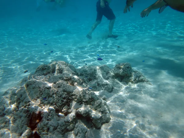 Marina Livet Sandbank Lagunen Moorea Franska Polynesien — Stockfoto