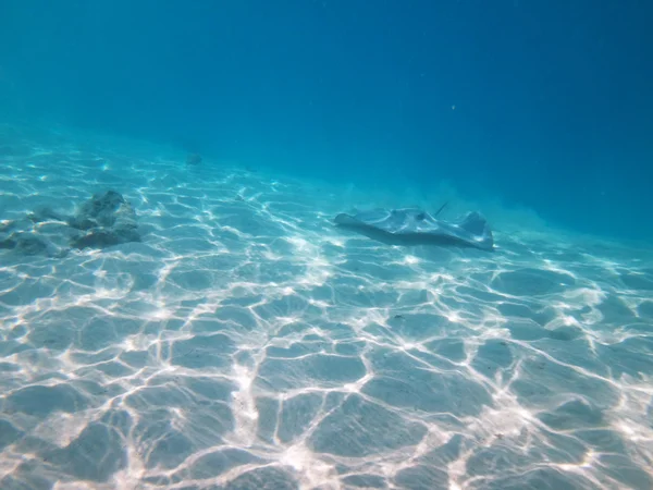 Moorea, French Polynesia — Stock Photo, Image