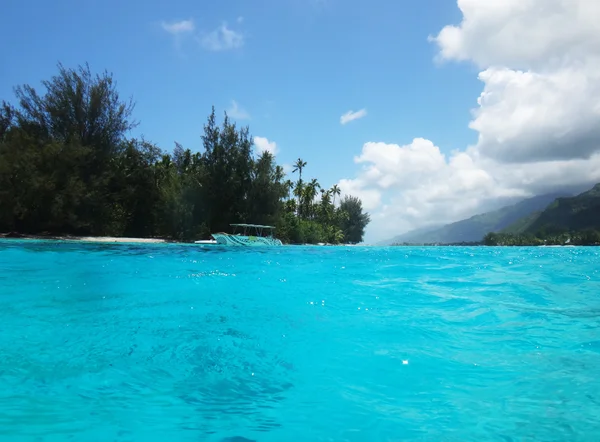 Syn Moorea Från Lagunen Franska Polynesien — Stockfoto