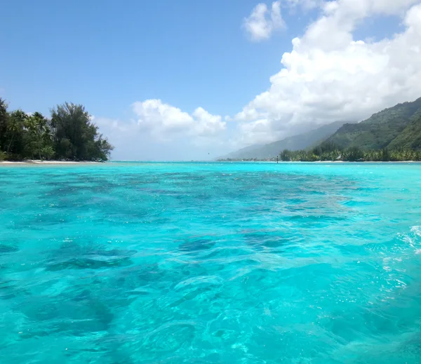 モーレア島、フランス領ポリネシア — ストック写真