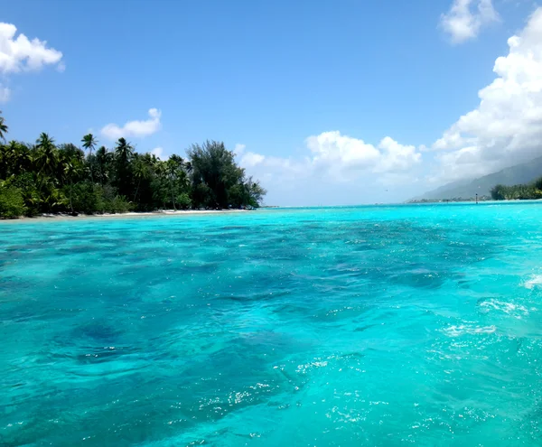 Άποψη Του Moorea Από Λιμνοθάλασσα Γαλλική Πολυνησία — Φωτογραφία Αρχείου