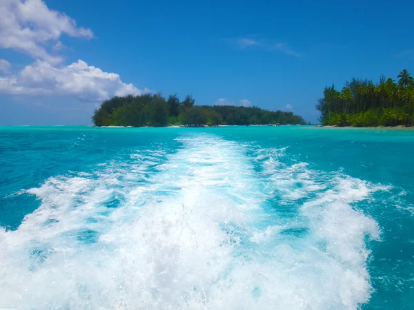 Syn Moorea Från Lagunen Franska Polynesien — Stockfoto