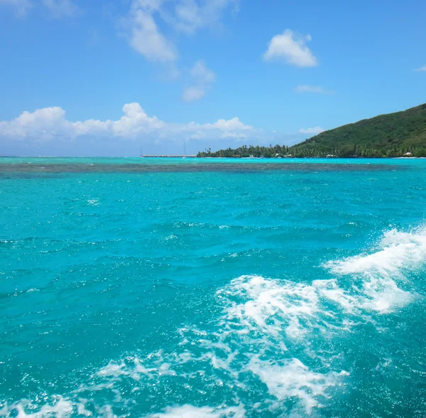 Blick Auf Moorea Aus Der Lagune Französisch Polynesien — Stockfoto