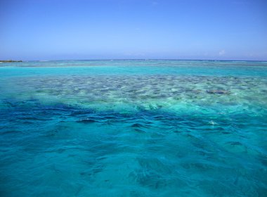 Moorea, Fransız Polinezyası