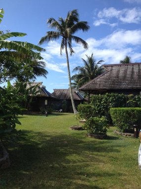 Moorea, Fransız Polinezyası görünümünü.