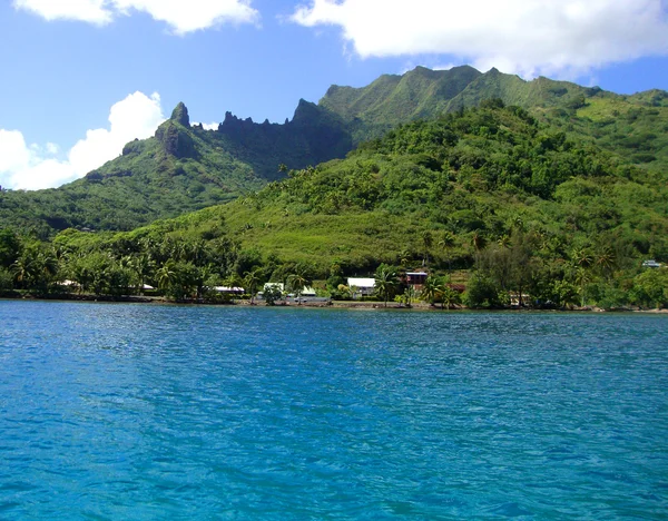 Utsikten Över Lagunen Moorea Franska Polynesien — Stockfoto