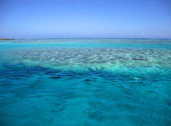 Morea, Polinesia Francesa — Foto de Stock