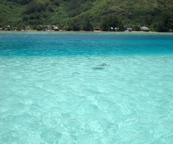 Pohled Lagunu Moorea Fracouzská Polynésie — Stock fotografie