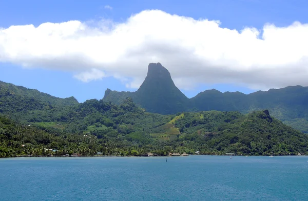 Weergave Van Moorea Van Lagune Een Cruiseschip Frans Polynesië — Stockfoto